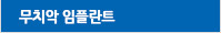 무치악 임플란트